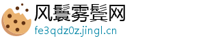 风鬟雾鬓网